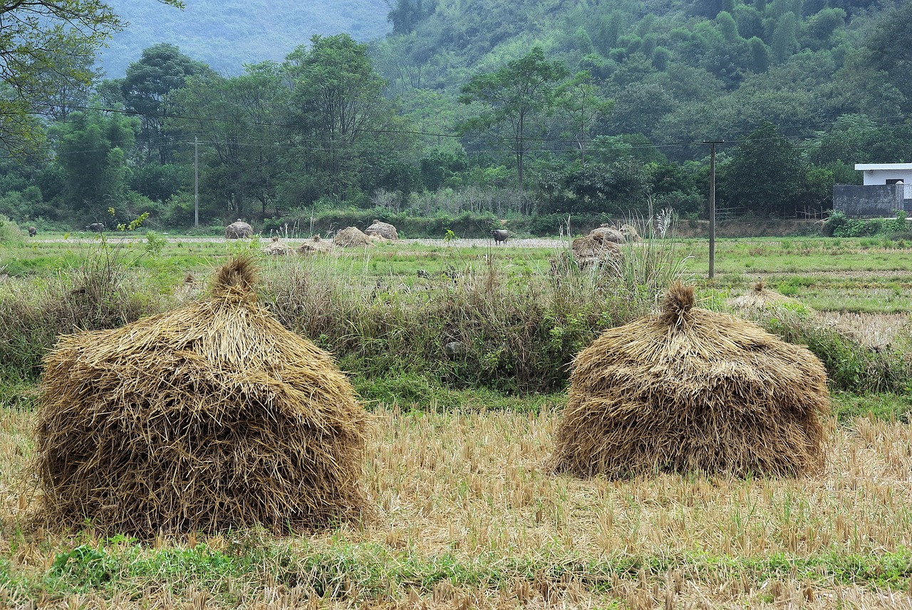 广东省全部高中概览