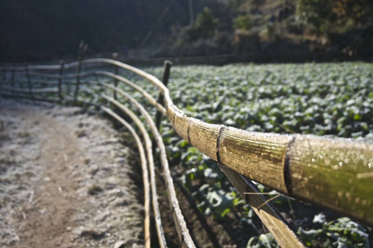 广东省石门山的新闻热点与旅游魅力