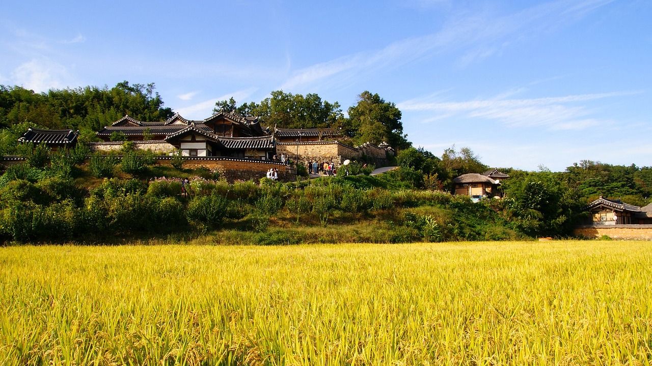 广东省乡下农村视频直播，展现真实乡村生活的窗口