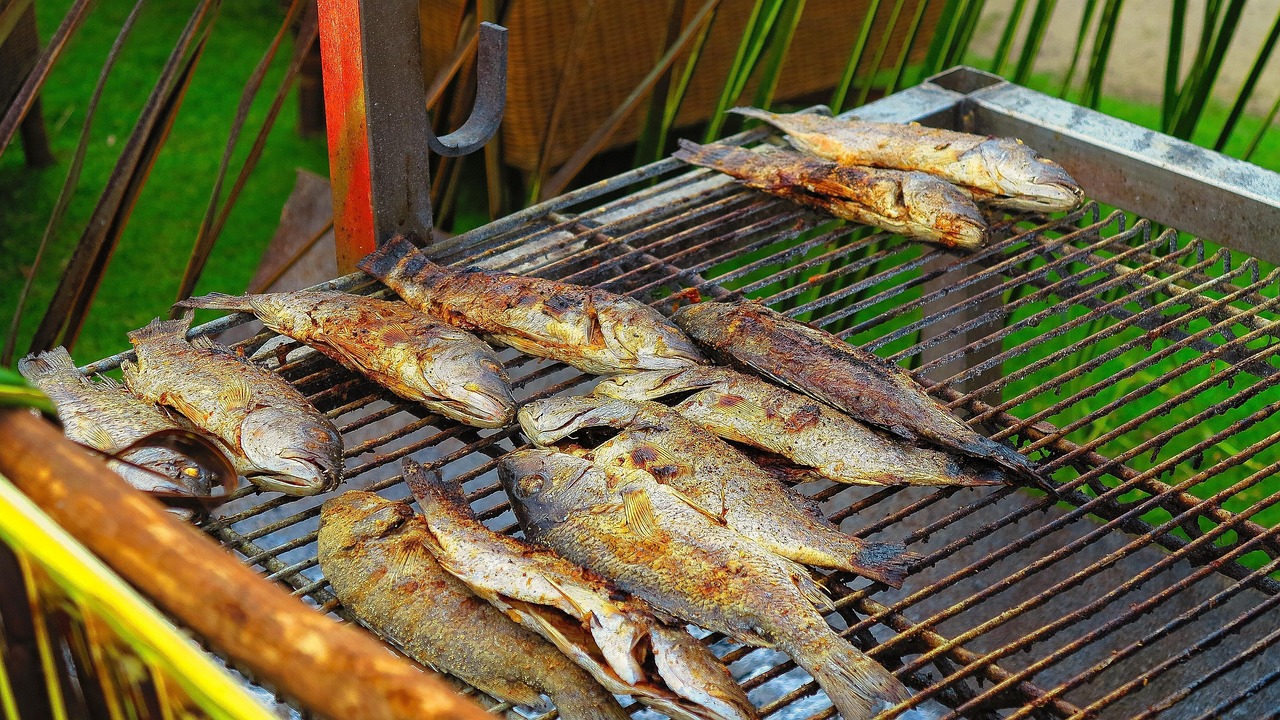 关于两个月大的猫咪的饮食指南，它们可以吃什么？